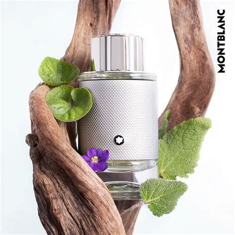 stylish platinum perfume design